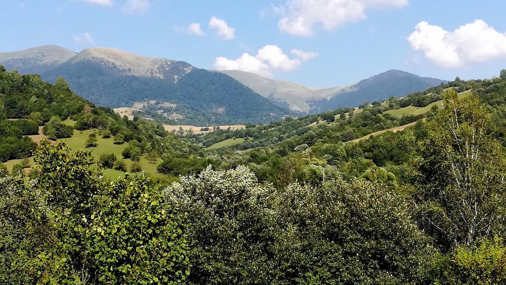 Sadyba U Anastasijky Synevyr Dış mekan fotoğraf